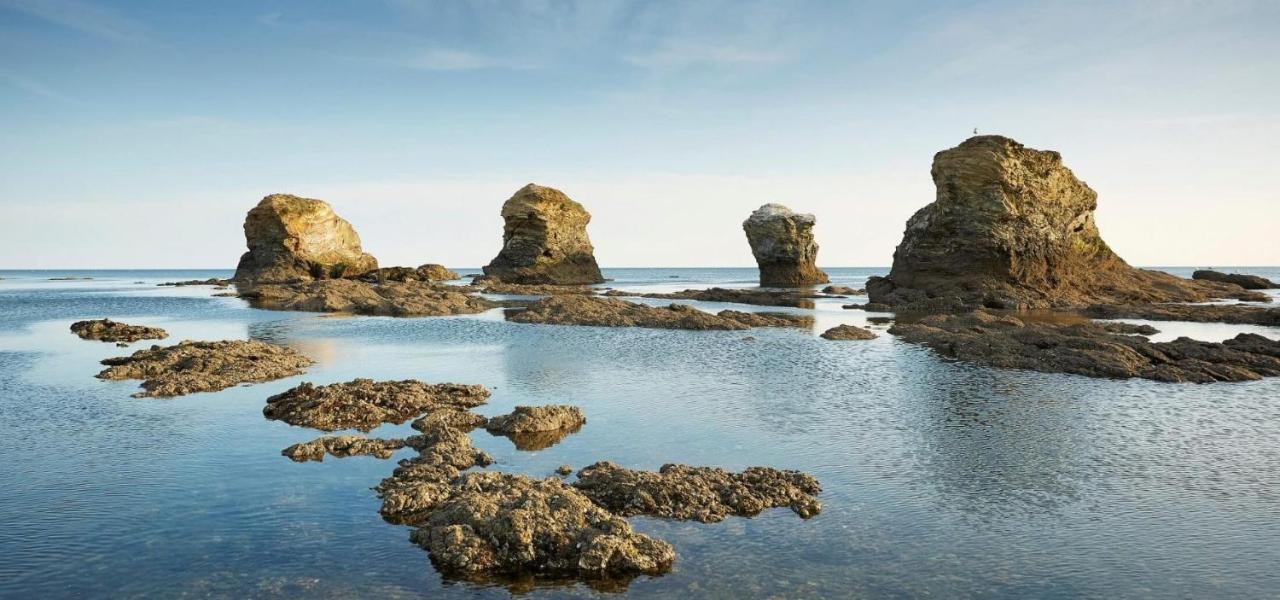 Appart Bord De Mer, 6 Places, Plage, Dune, Parking Gratuit, Rez De Chaussee Сен-Ілер-де-Р'єз Екстер'єр фото